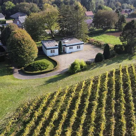 Les Hauts De Vigne - 7 Guest With Private Park Dallon
