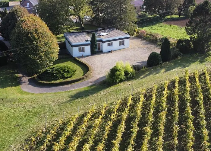 Les Hauts De Vigne - 7 Guest With Private Park Dallon